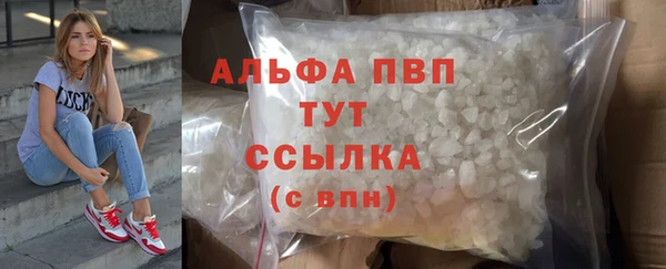 mdpv Вяземский