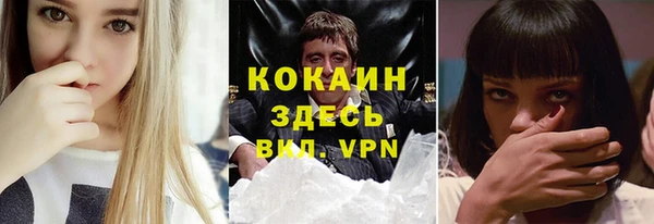 mdpv Вяземский