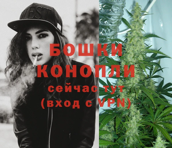 mdpv Вяземский