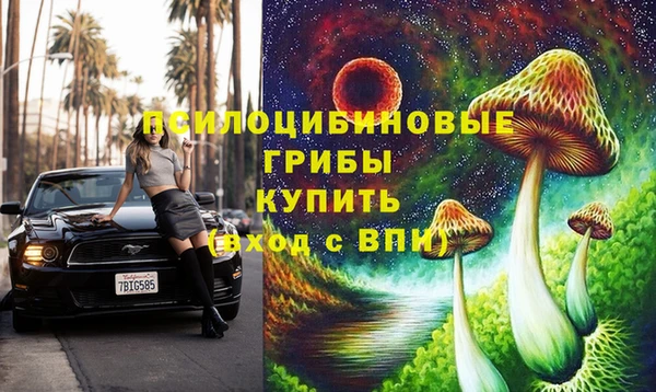 шишки Вязьма