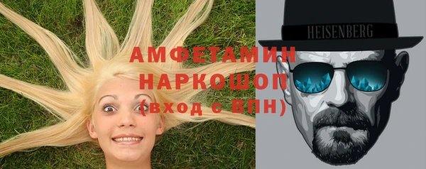 mdpv Вяземский